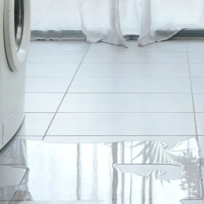 Appliance Leak Cleanup in Roscommon, MI