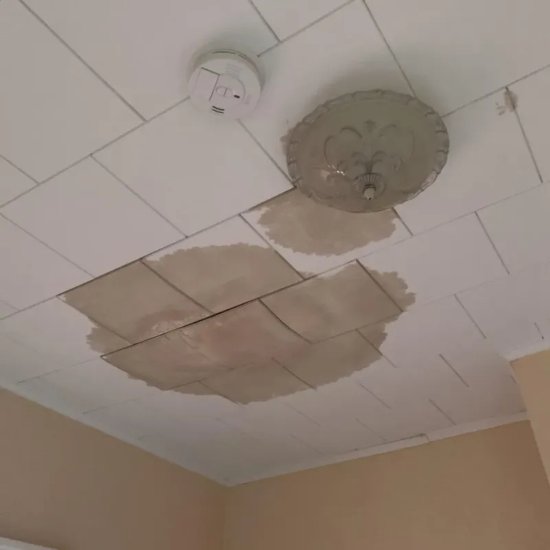 Ceiling Water Damage Repair in Roscommon, MI